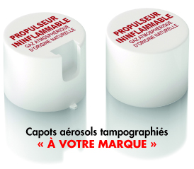 super degrippant a effet instantane. tres fortement lubrifiant, le mos2 assurant un traitement des surfaces par adsorbtion. facilite le montage, permet de demontage. Degrippant mos2, Degrippant au bisulfure de molybdene, Aerosol degrippant mos2, Aerosol degrippant desoxydant lubrifiant, Degrippant efficace, Super degrippant